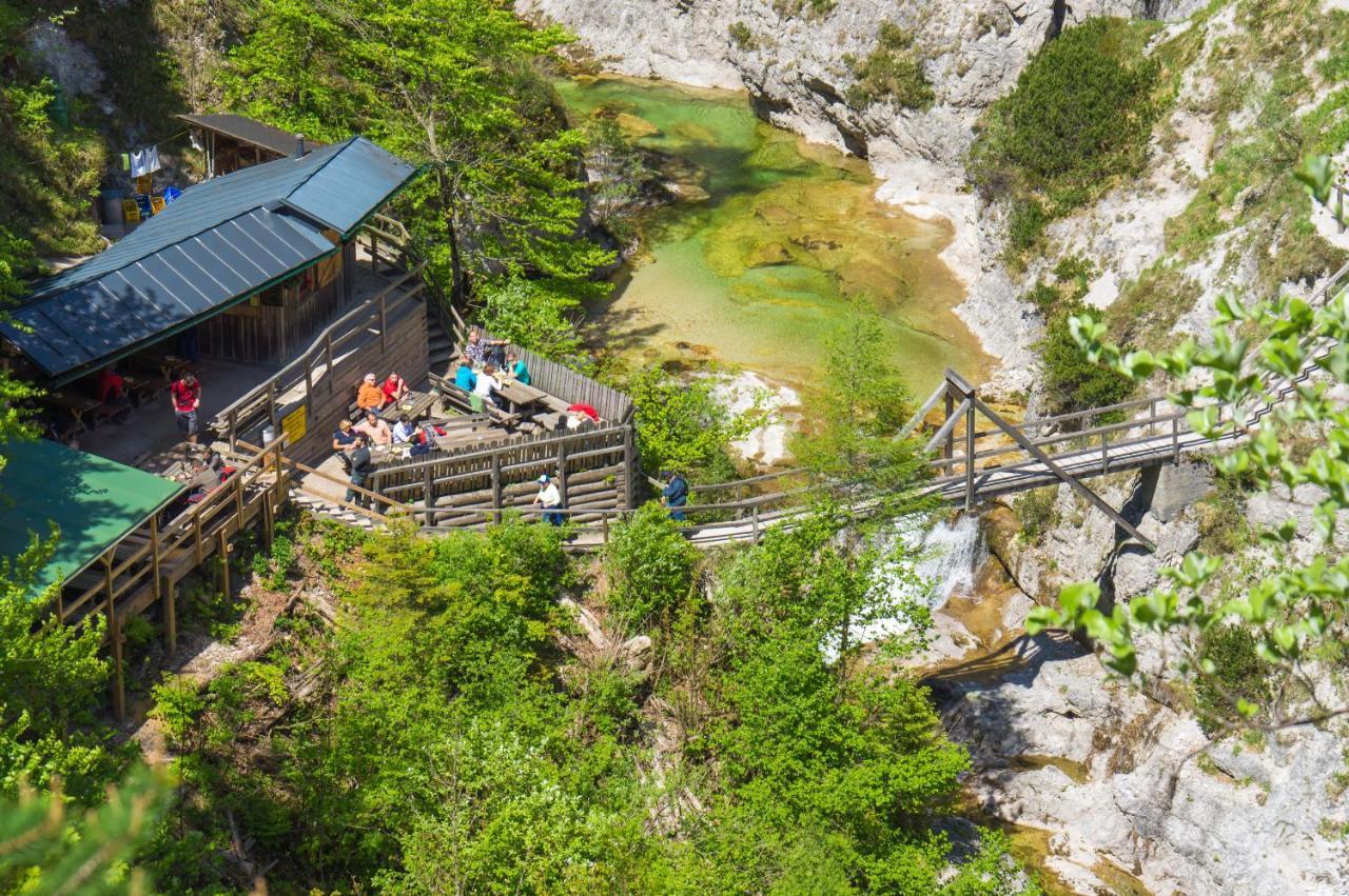 Apartment Erlauf - Ursprung, - 6 Personen, Outdoorsauna Mit Bachzugang Mitterbach Dış mekan fotoğraf